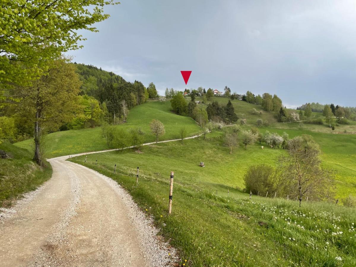 Mountain View Cottage Kamnik Exterior foto